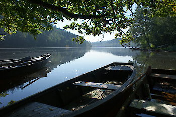 Ilzwanderung